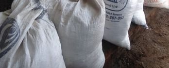 Organic Cow Manure Fertilizer Premium Supply USA